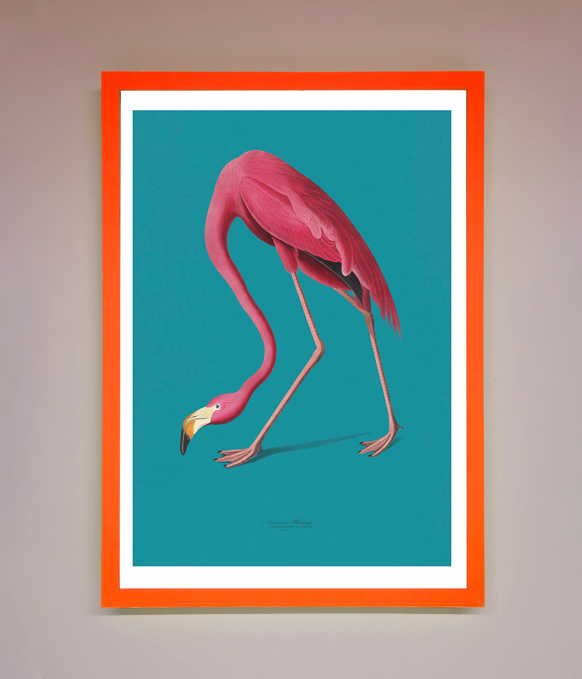 Flamingo Walks Blue Framed Print print