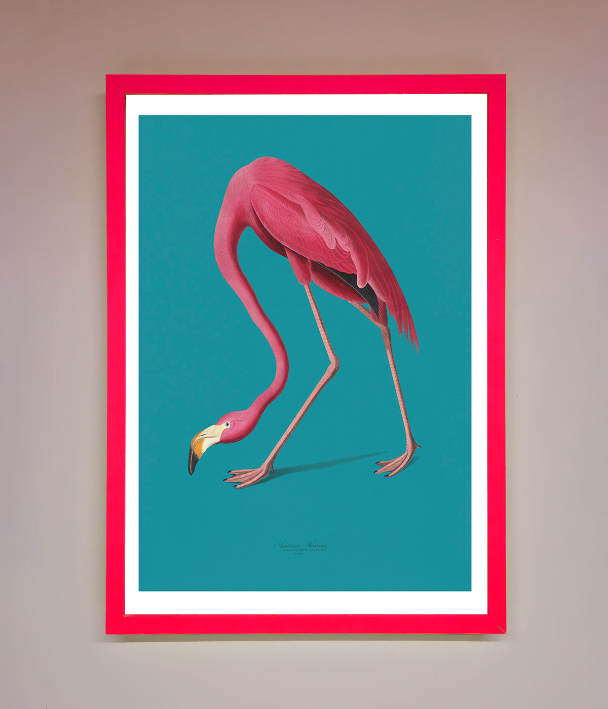 Flamingo Walks Blue Framed Print print