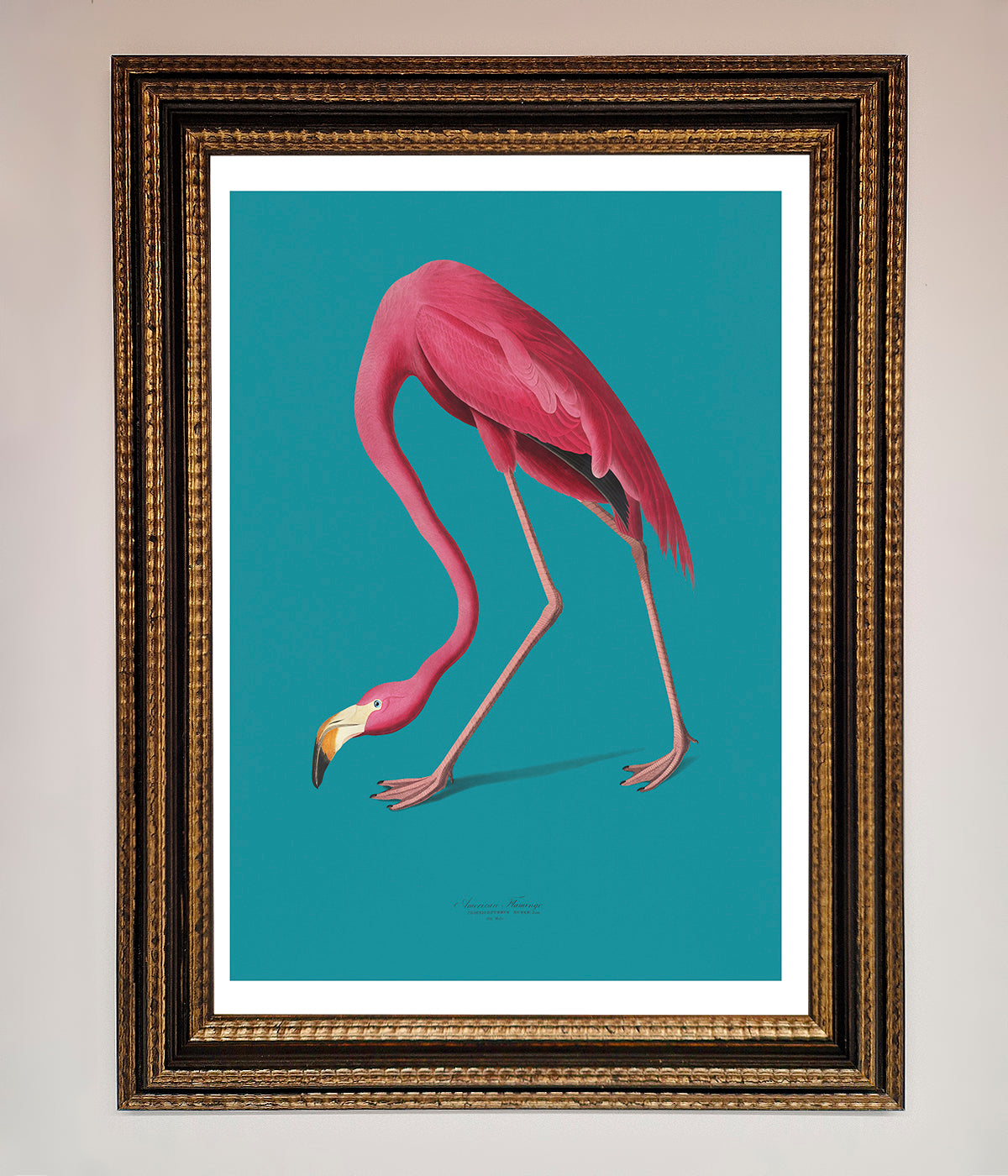 Flamingo Walks Blue Framed Print print