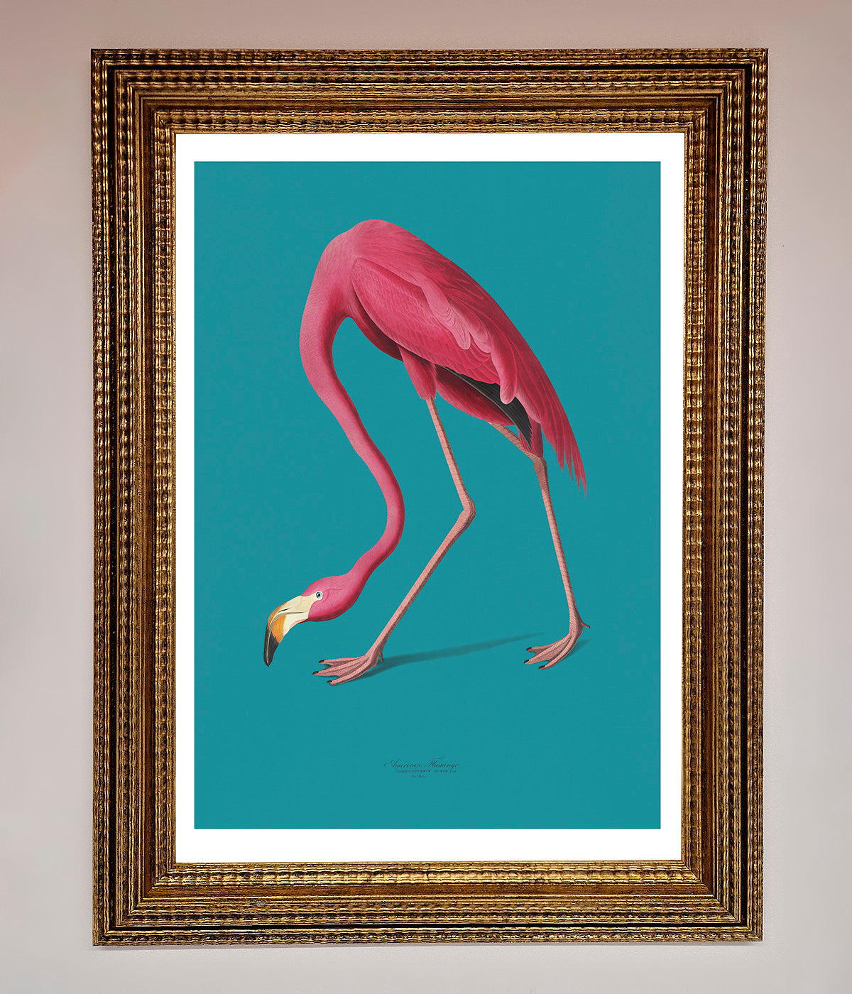 Flamingo Walks Blue Framed Print print