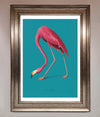 Flamingo Walks Blue Framed Print print