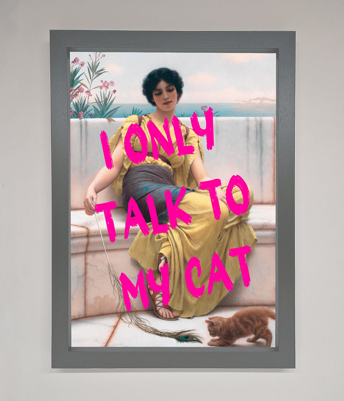 I Only Talk To My Cat Framed Wall Art print