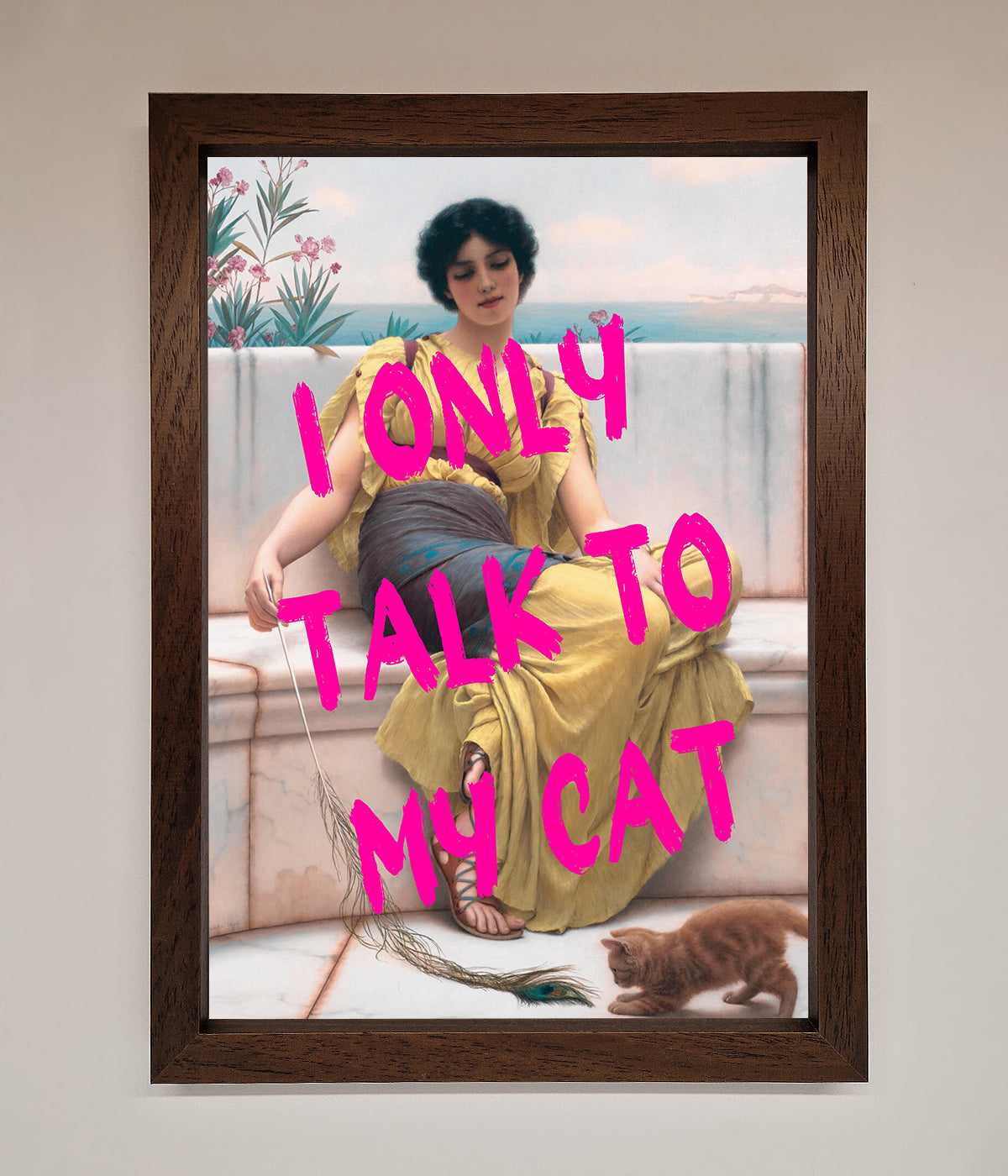 I Only Talk To My Cat Framed Wall Art print