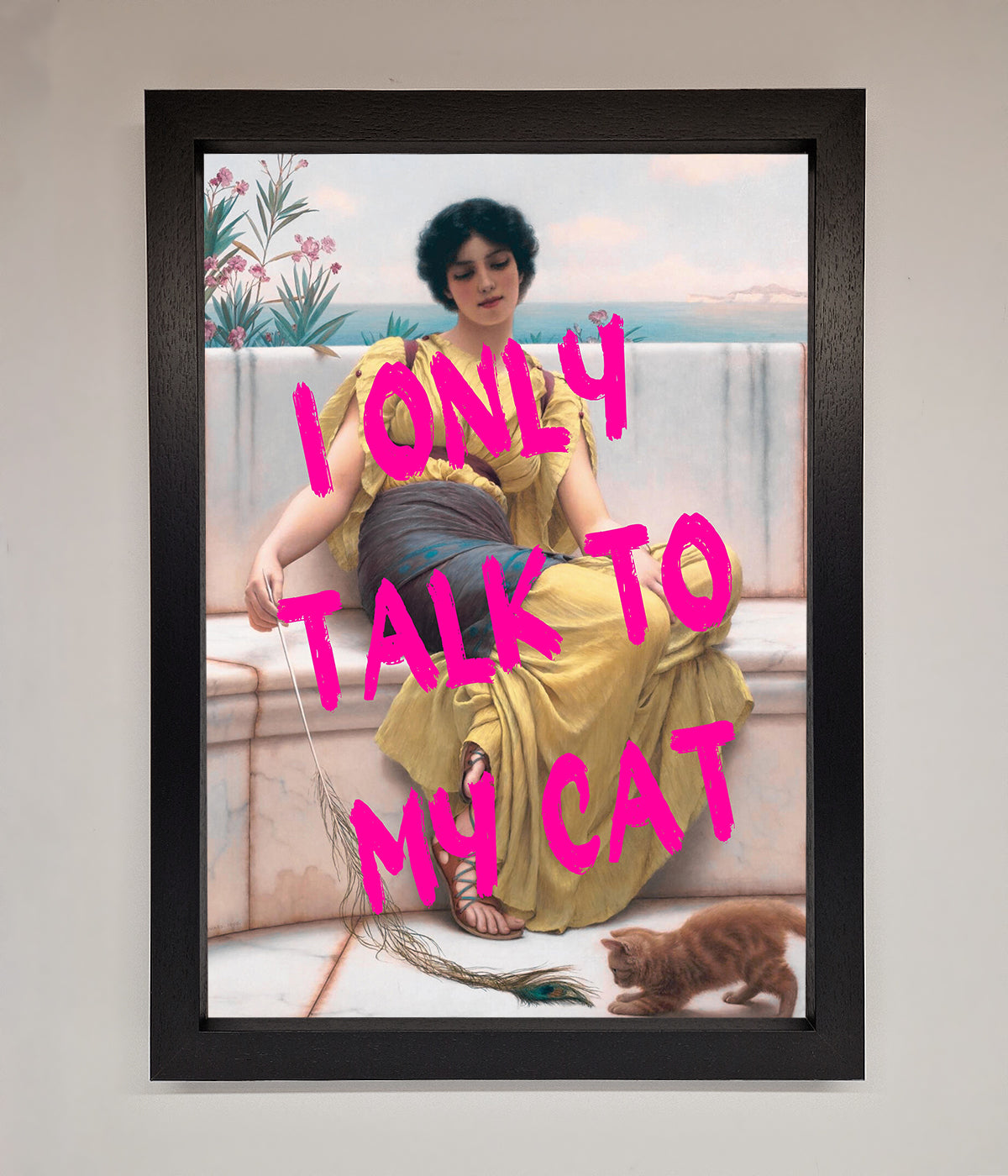 I Only Talk To My Cat Framed Wall Art print