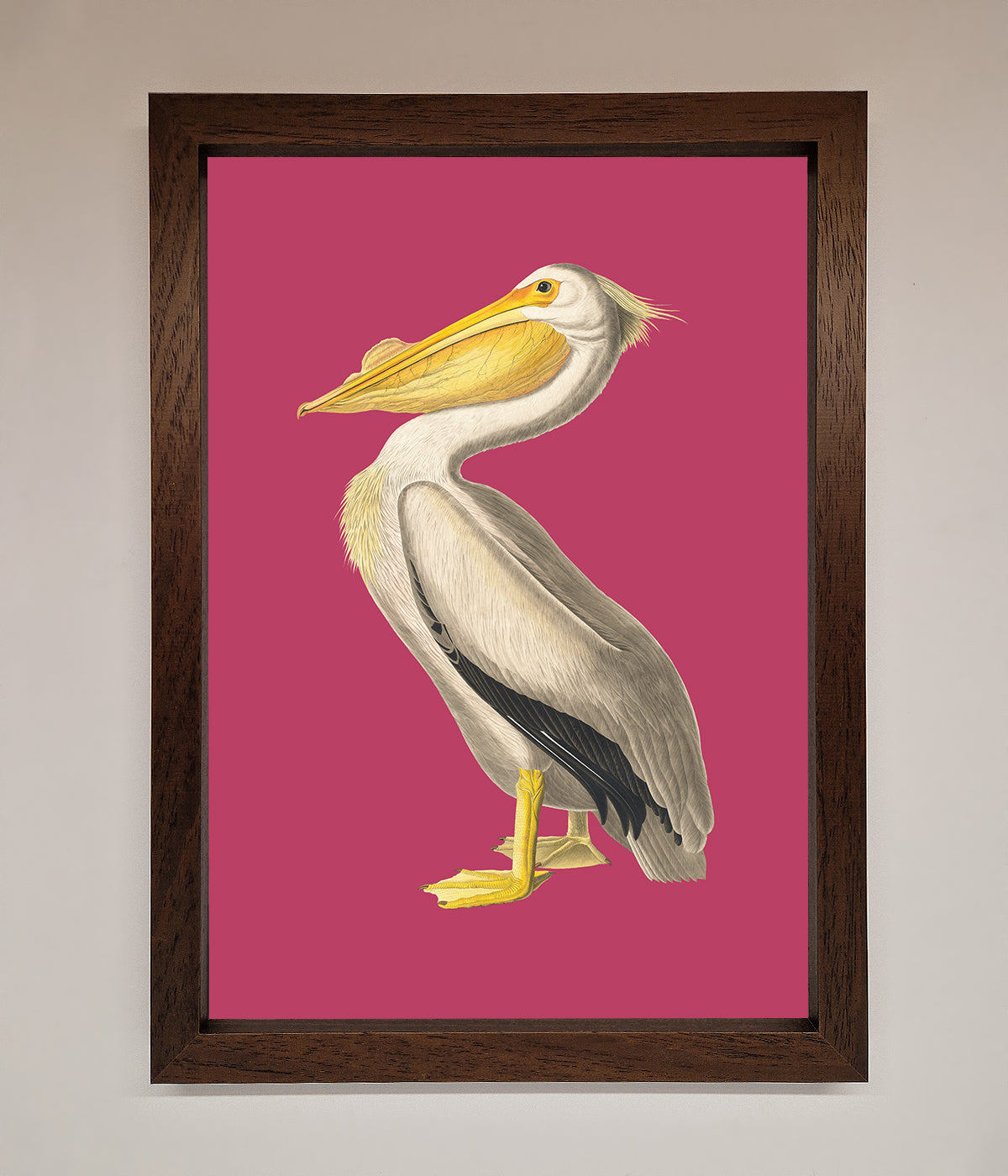 Pelican On Pink Framed Poster print