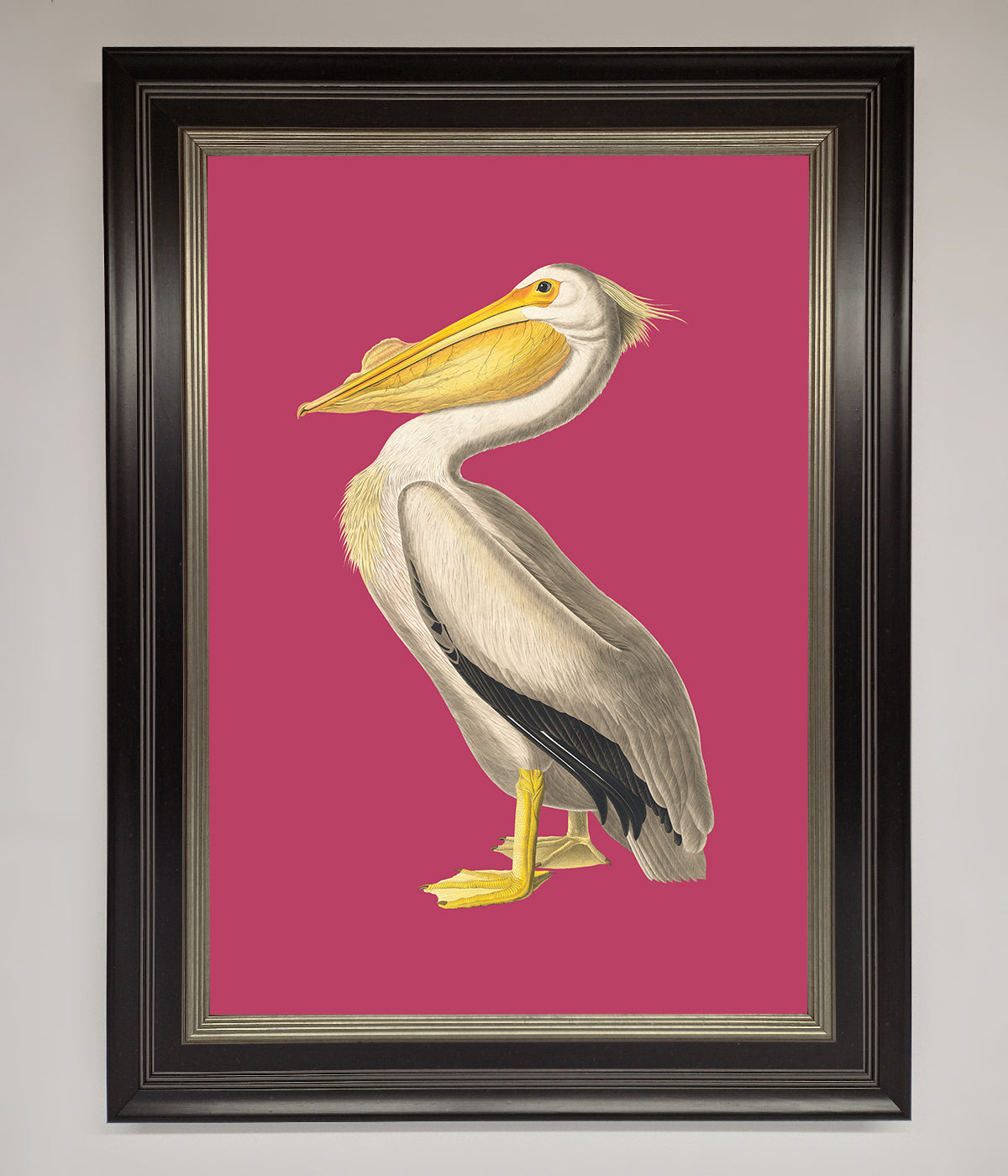 Pelican On Pink Framed Poster print