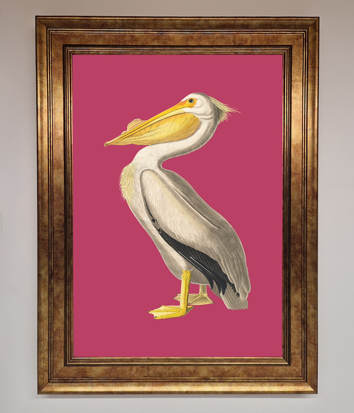 Pelican On Pink Framed Poster print