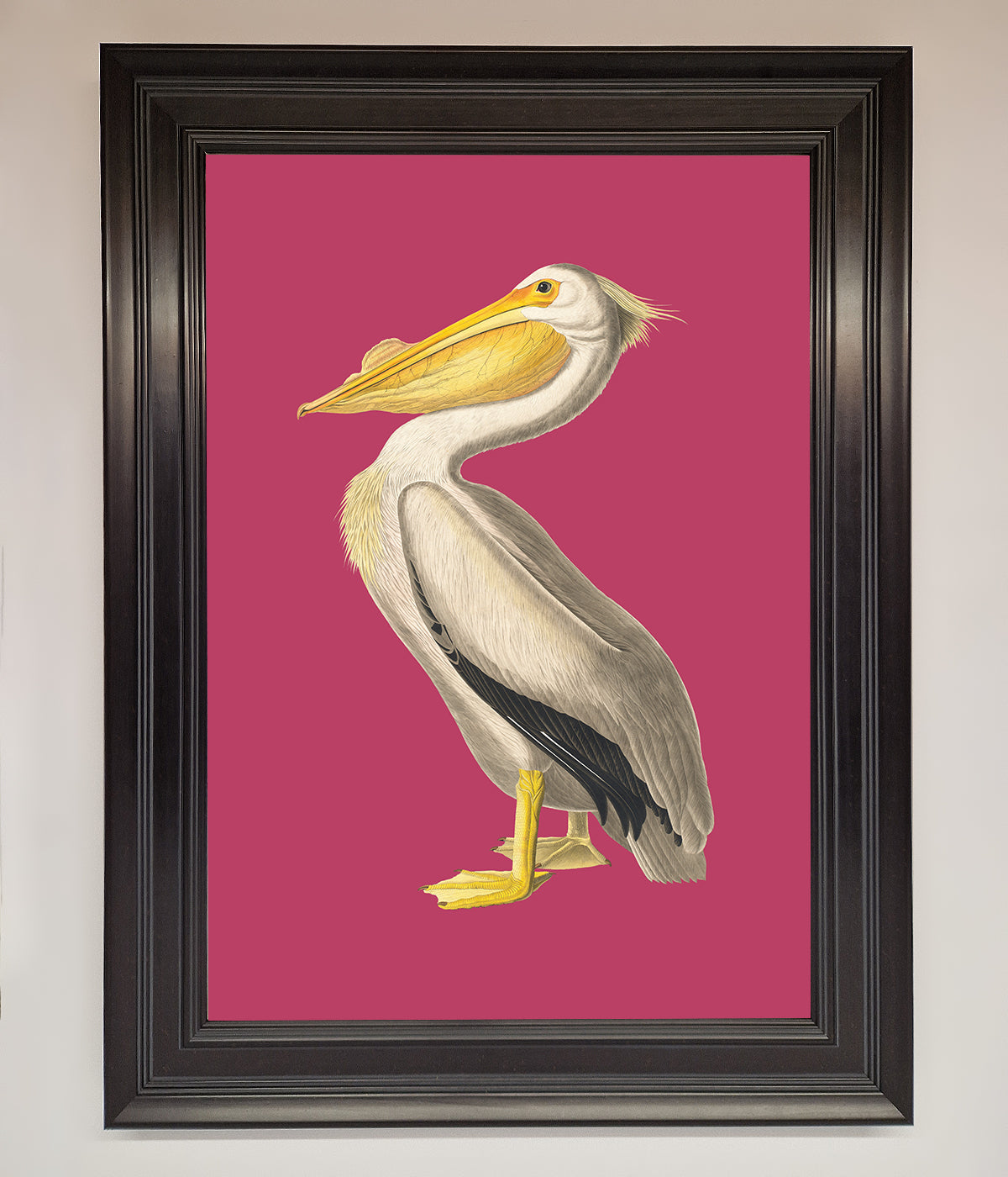 Pelican On Pink Framed Poster print