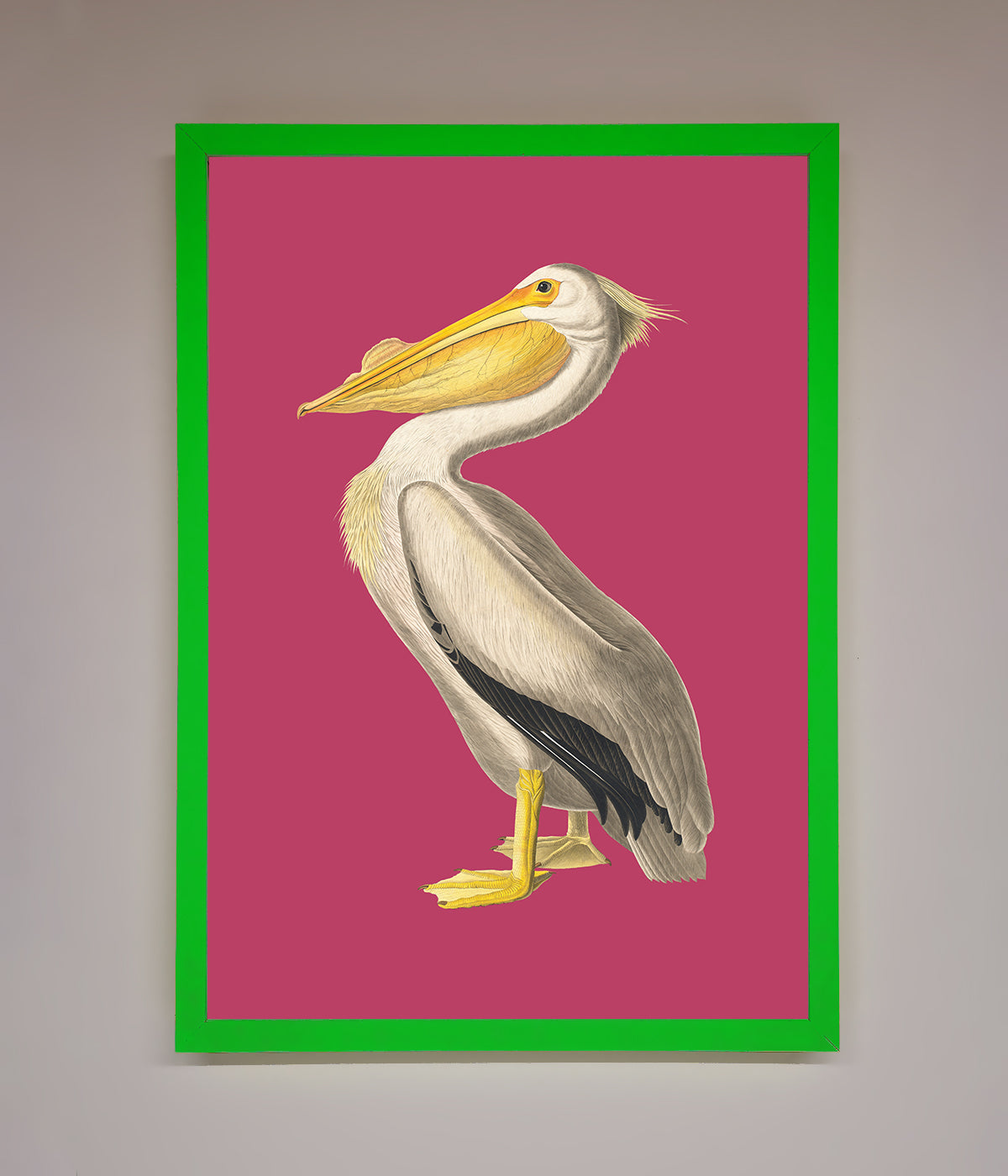 Pelican On Pink Framed Poster print