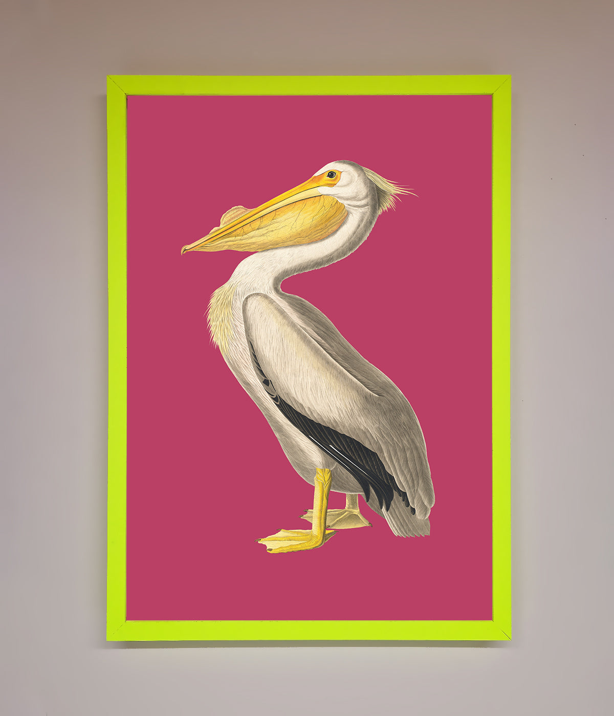 Pelican On Pink Framed Poster print