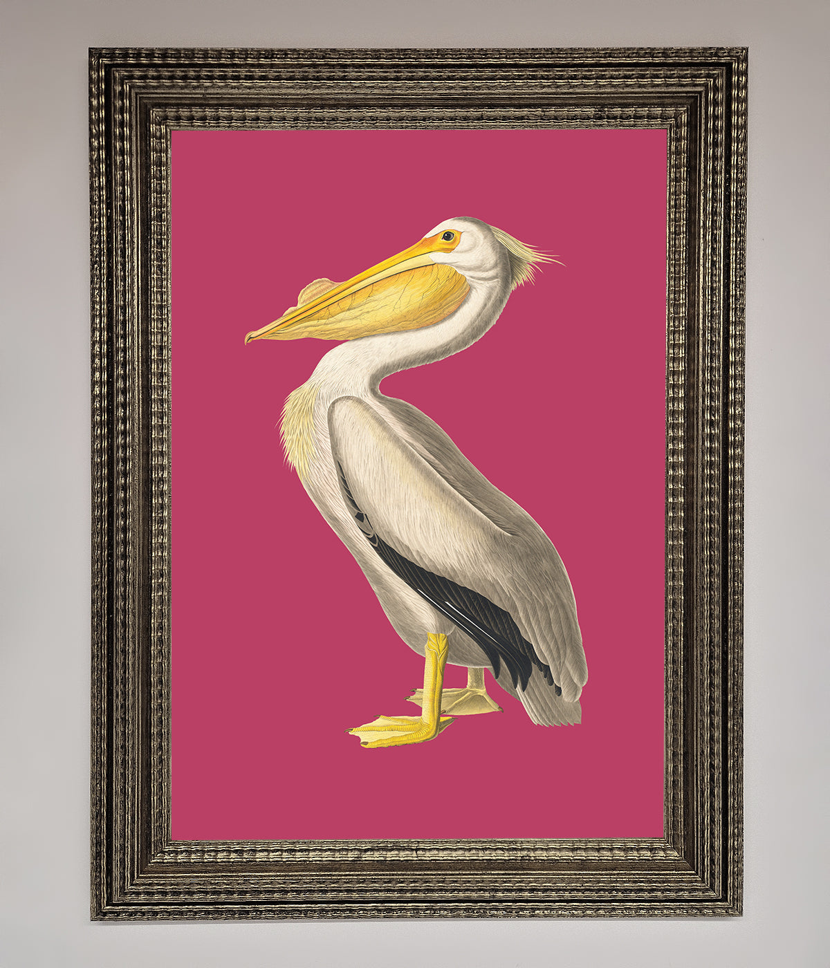 Pelican On Pink Framed Poster print