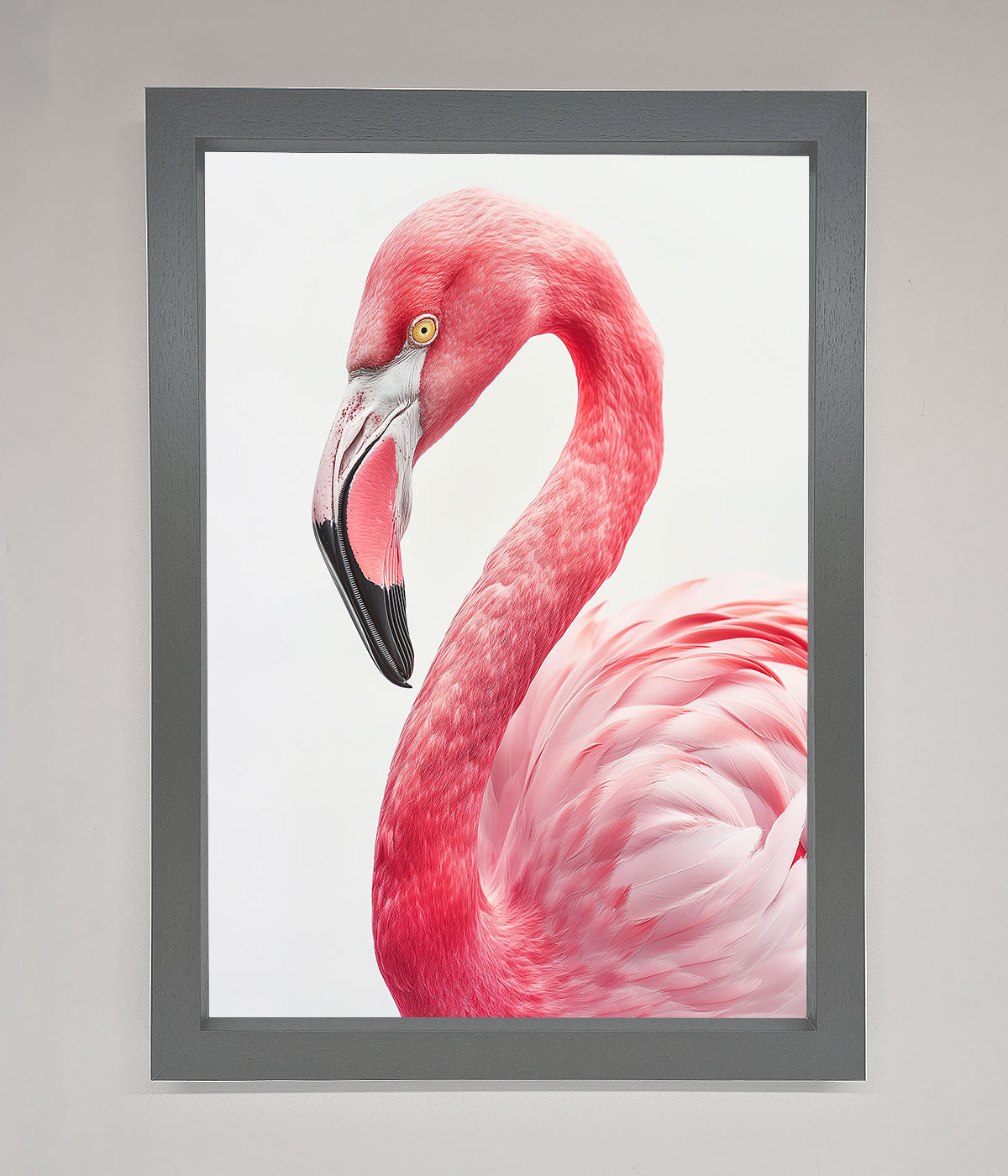 Pink Flamingo Stare Framed Print for home or office decor.