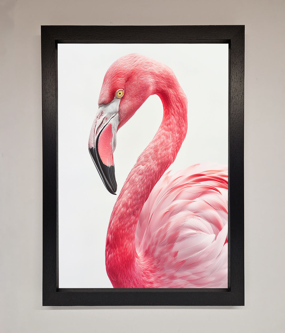 Pink Flamingo Stare Framed Print with elegant bird in vibrant color.