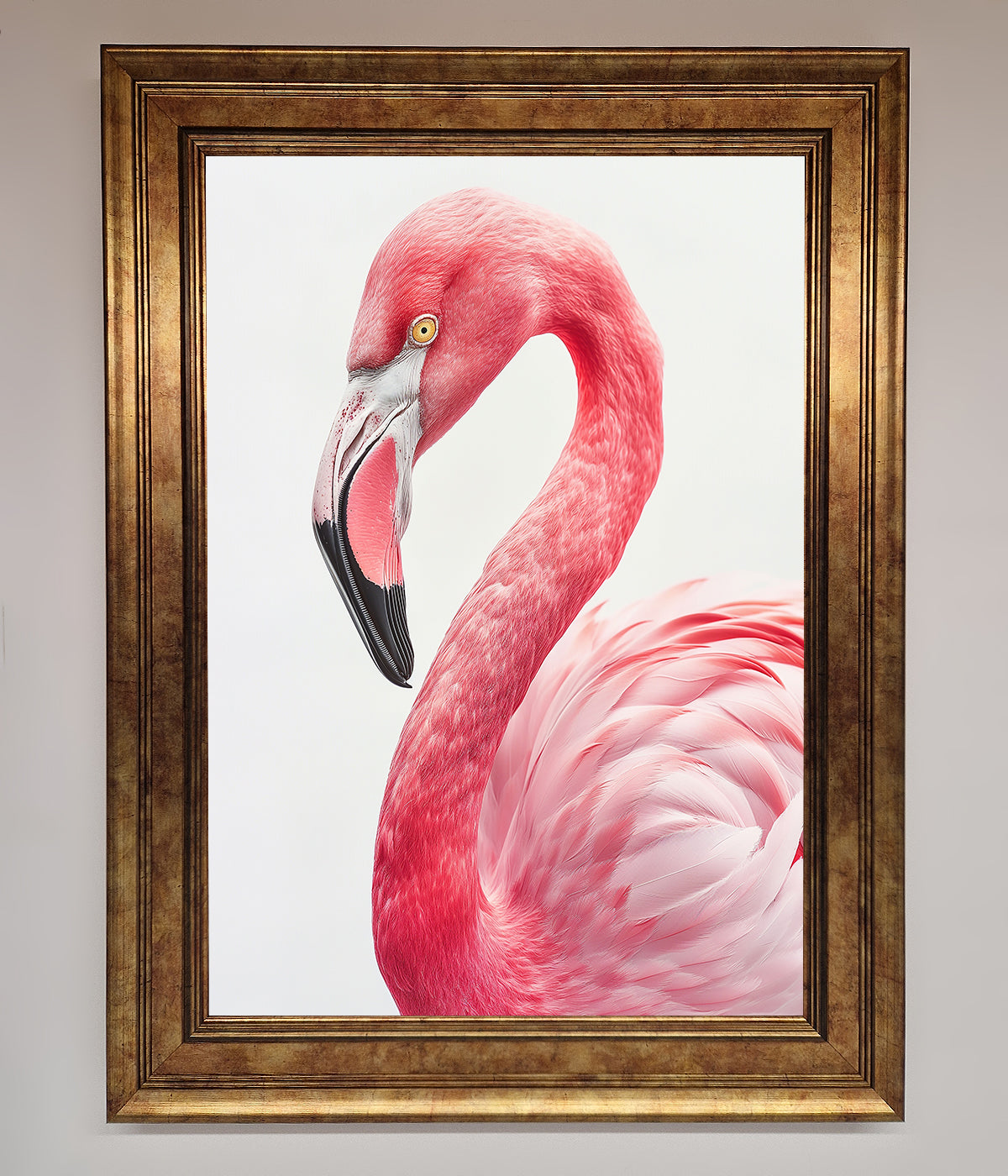 Pink Flamingo Stare Framed Print with elegant and colorful design.