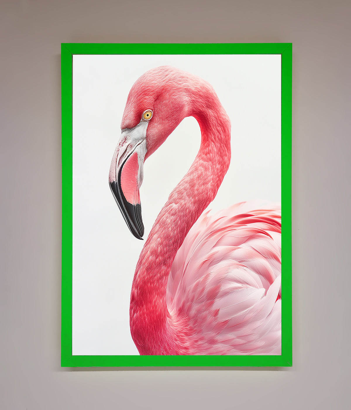 Pink Flamingo Stare Framed Print with vibrant colors and elegant design.