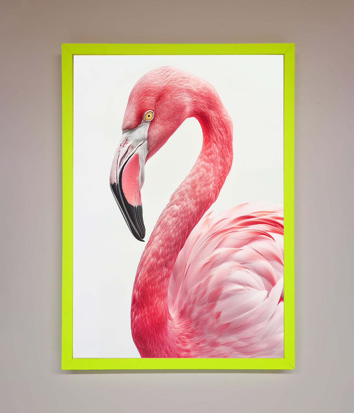 Pink Flamingo Stare Framed Print with vibrant color and elegant design.