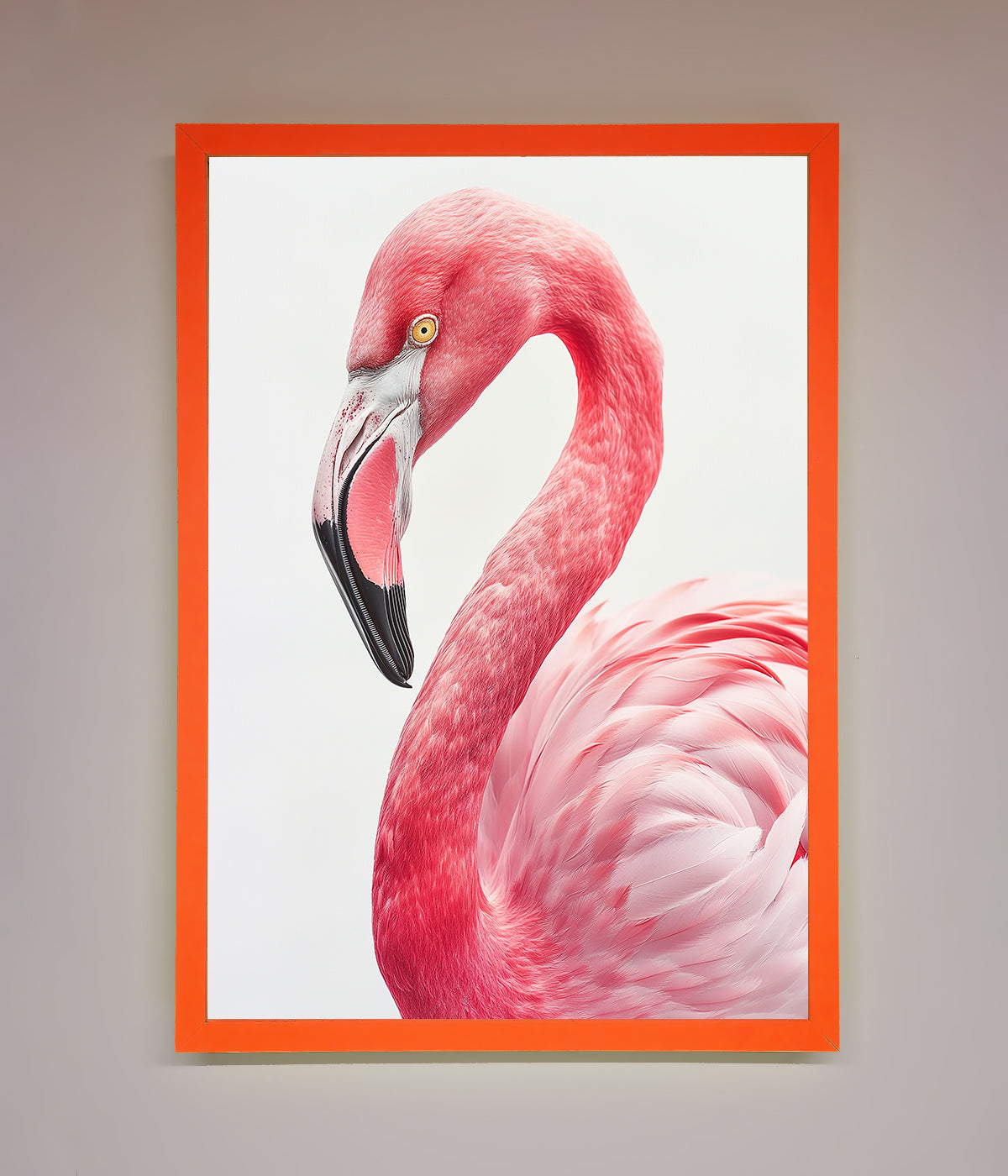 Pink Flamingo Stare Framed Print with vibrant colors and elegant design.