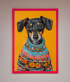 Sausage Dog In A Sweater Framed Print print