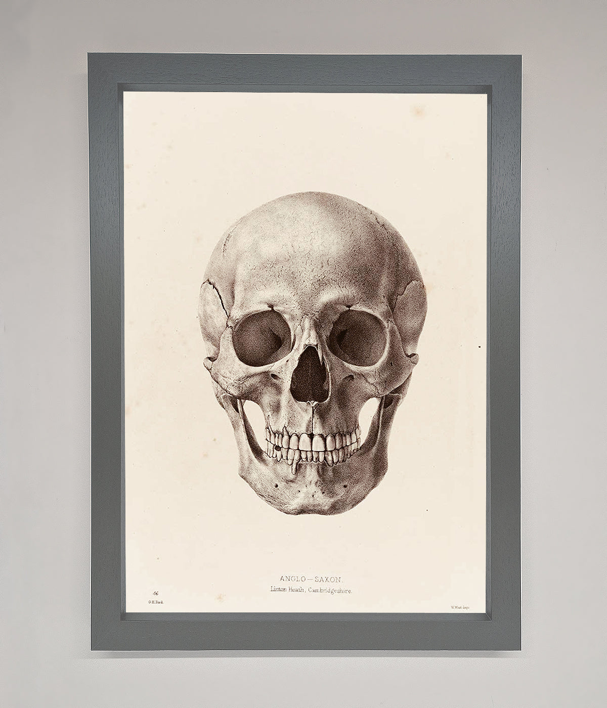 Skull Science Framed Poster print