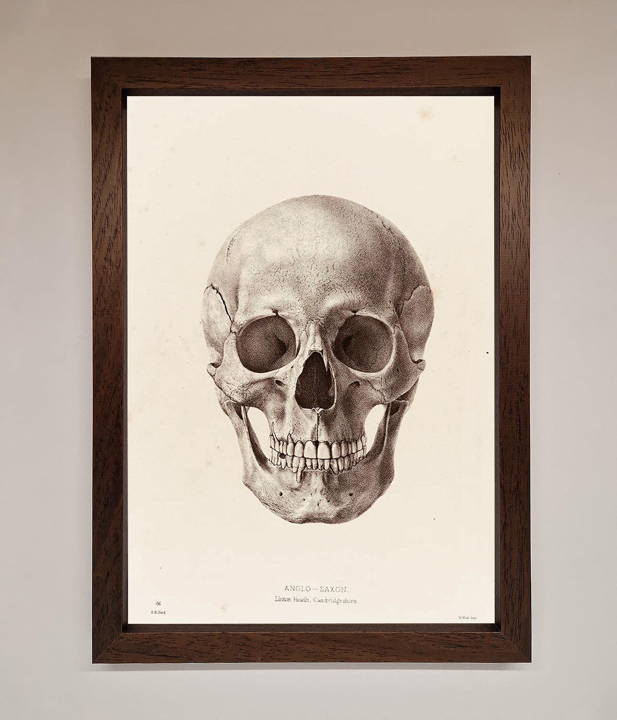 Skull Science Framed Poster print