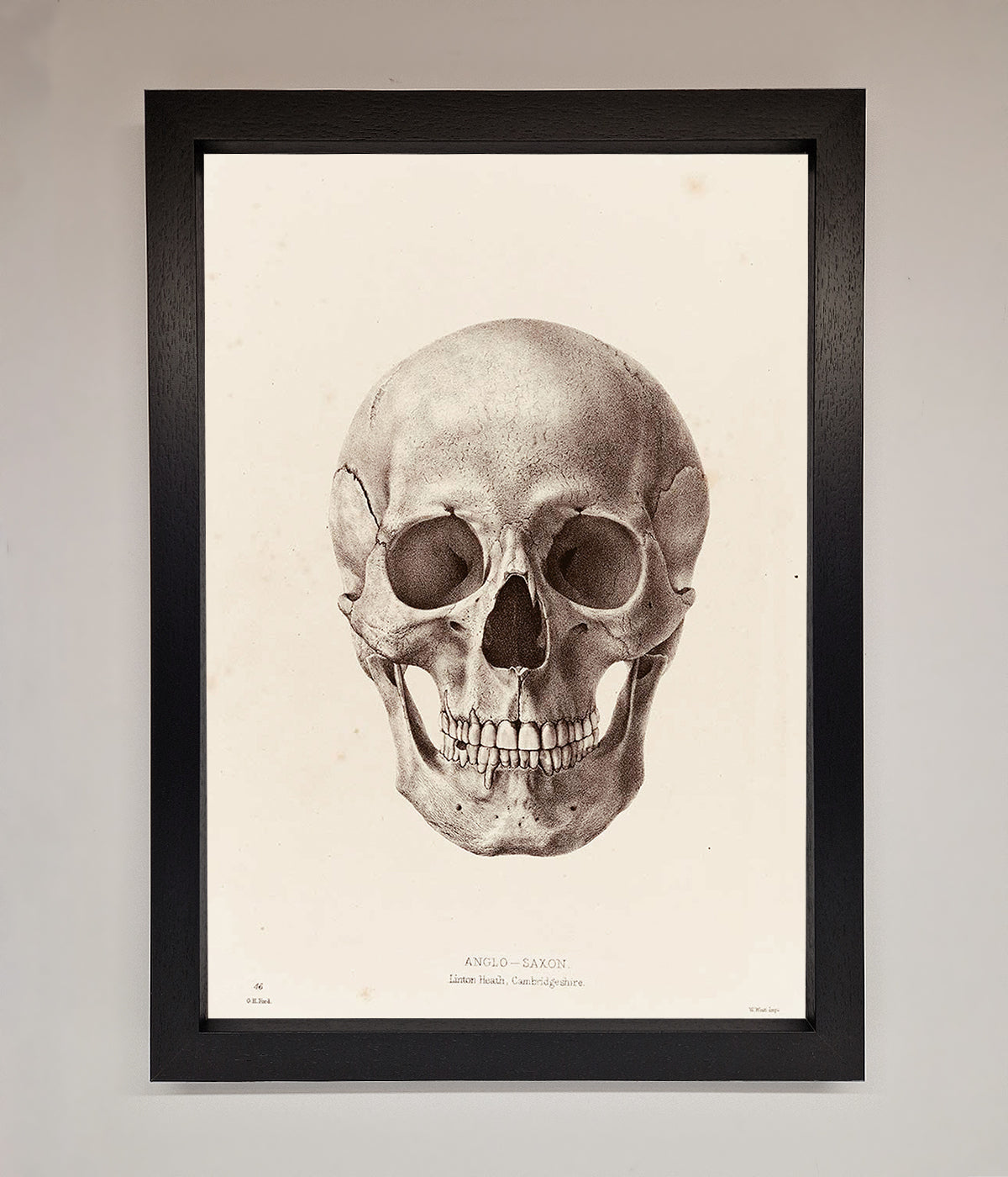 Skull Science Framed Poster print