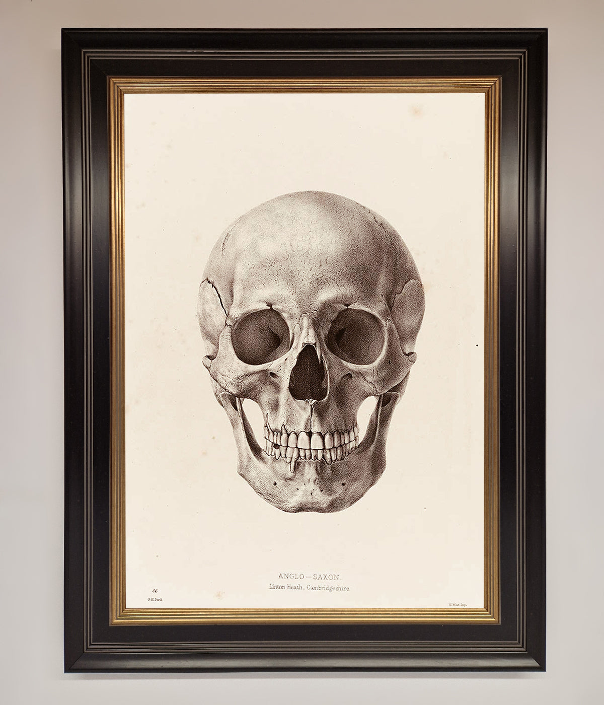 Skull Science Framed Poster print