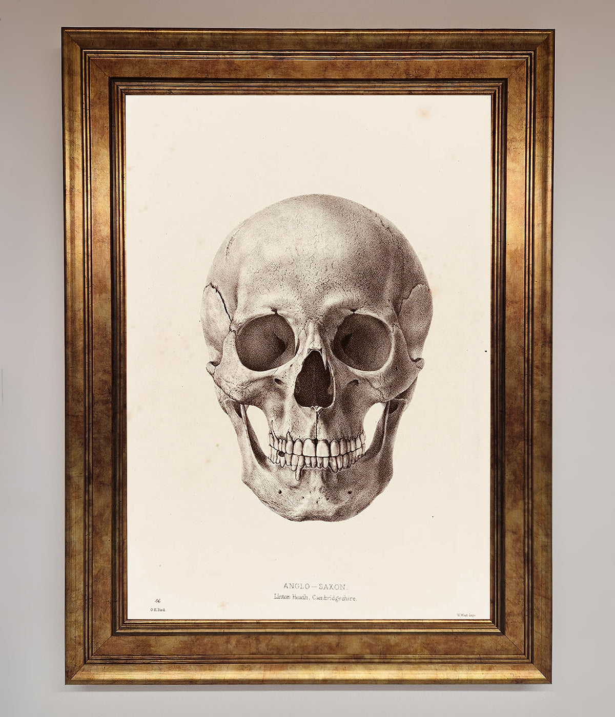 Skull Science Framed Poster print