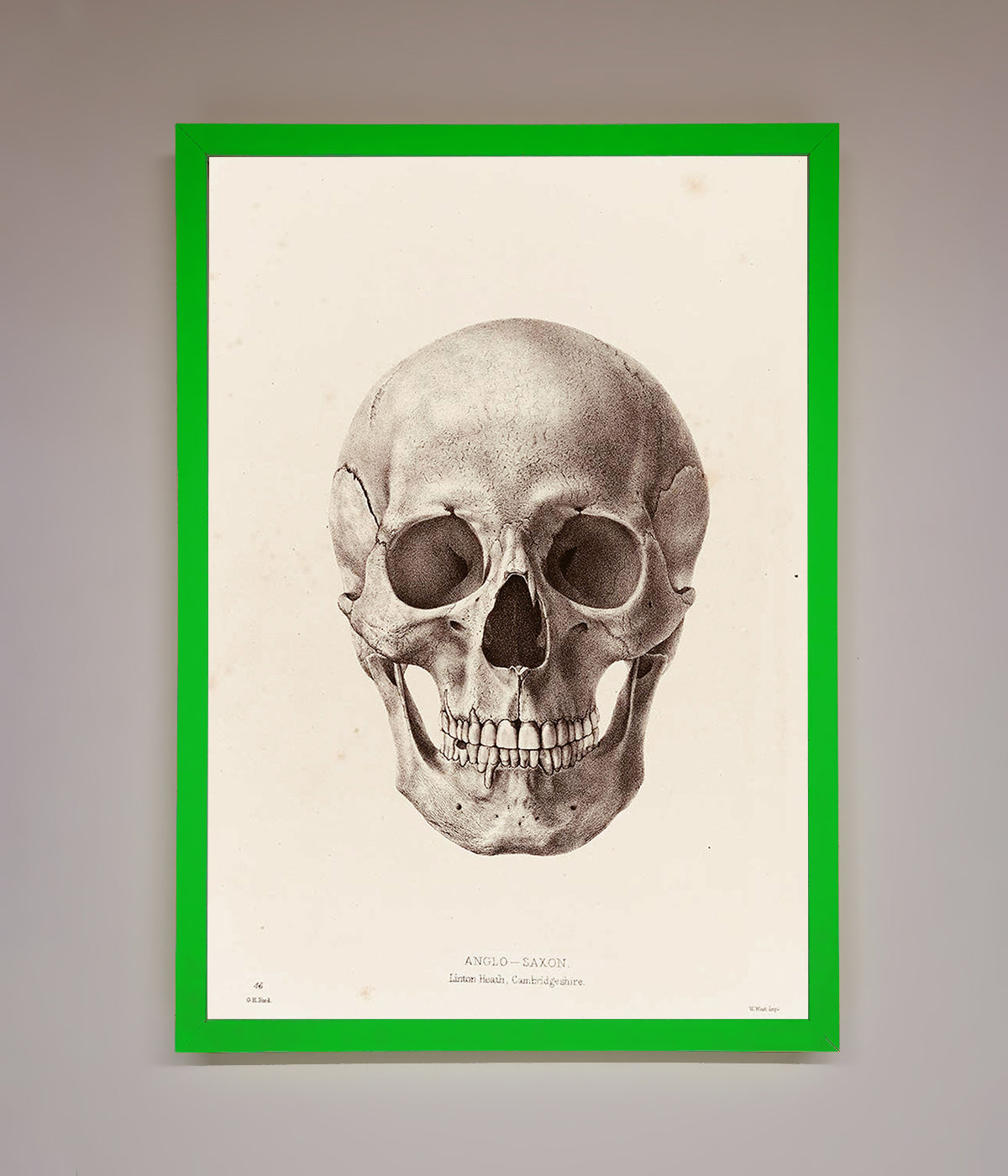 Skull Science Framed Poster print