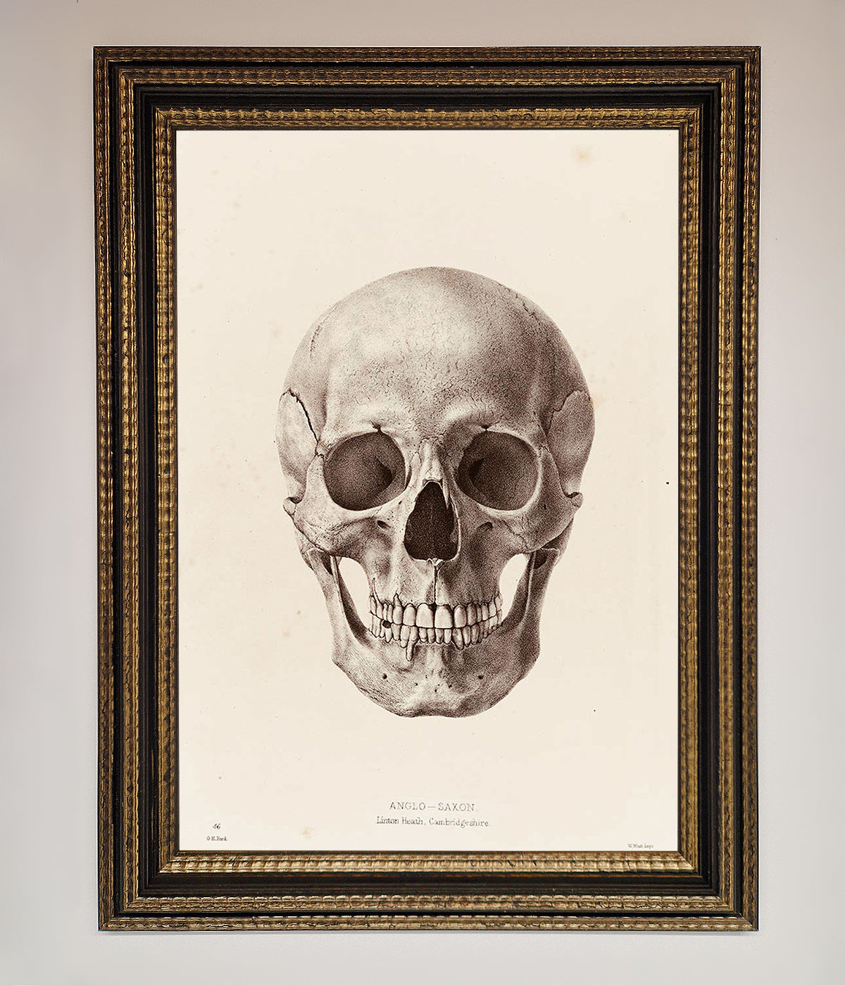 Skull Science Framed Poster print