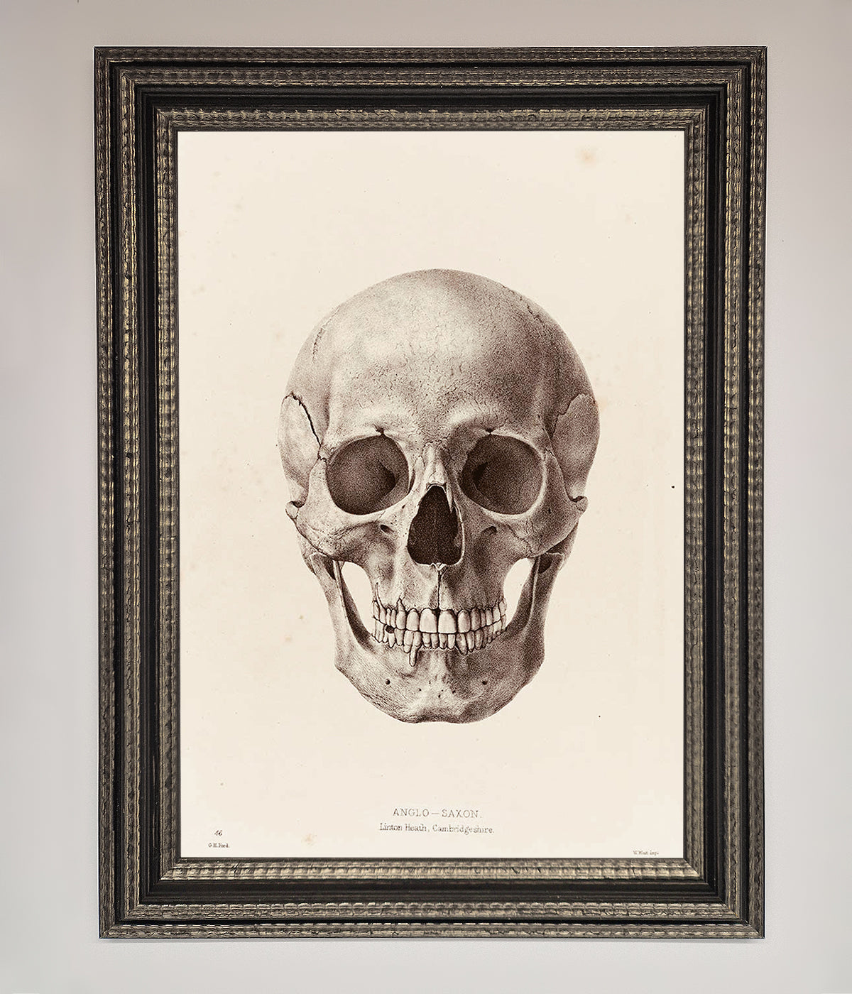 Skull Science Framed Poster print