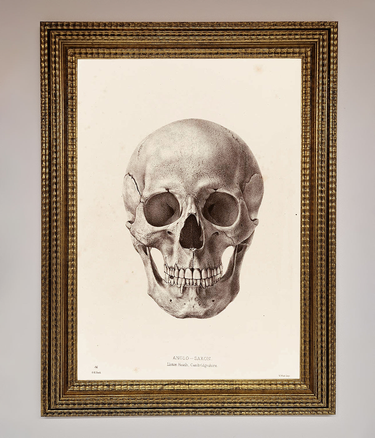 Skull Science Framed Poster print