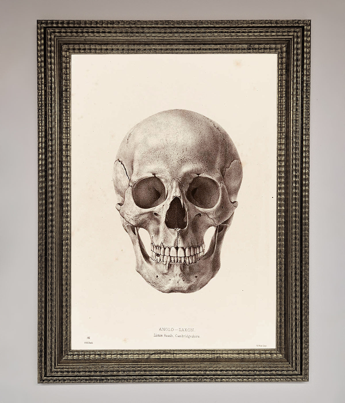 Skull Science Framed Poster print