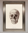 Skull Science Framed Poster print