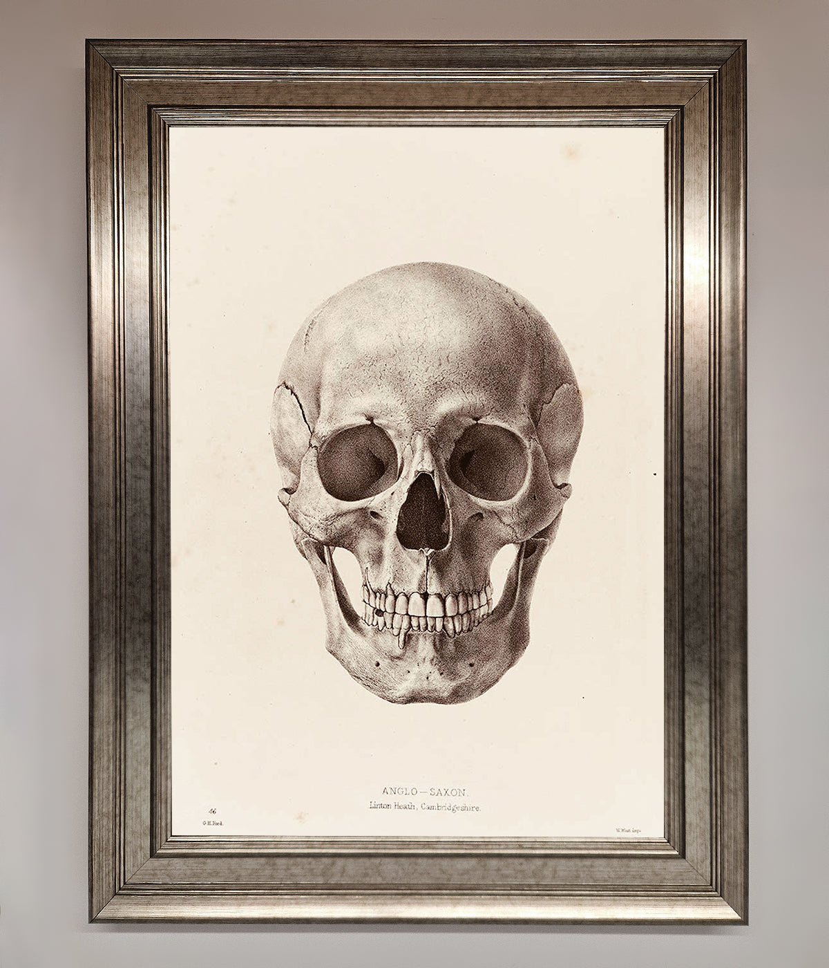 Skull Science Framed Poster print