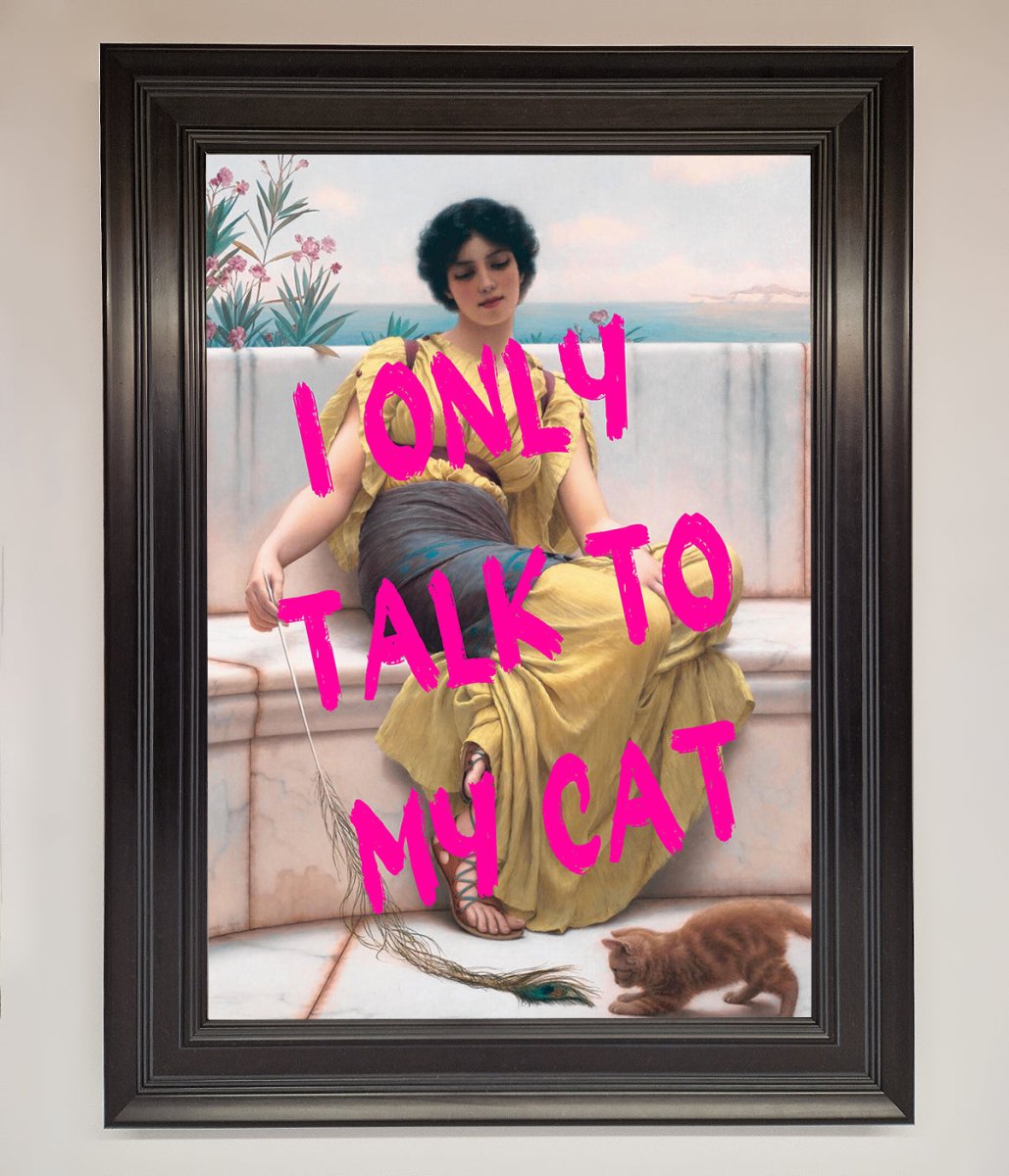I Only Talk To My Cat Framed Wall Art - Zestio